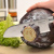 1399487 Нож сантоку кованный 18см BergHOFF, серия "Gourmet" 1399487 Нож сантоку кованный 18см BergHOFF, серия "Gourmet"