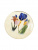 ДЕК0013 Тарелка настенная 19 см Thun, декор "Ирис синий" ДЕК0013 Тарелка настенная 19 см Thun, декор "Ирис синий"